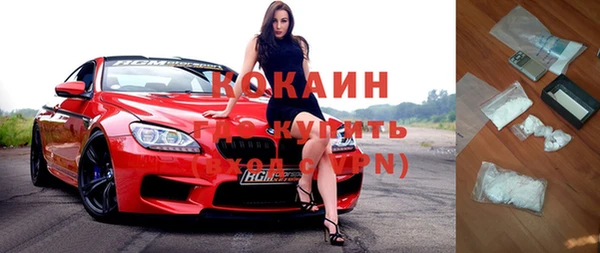 стаф Алексин