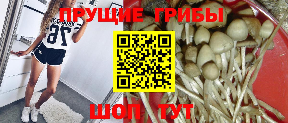 Галлюциногенные грибы GOLDEN TEACHER  купить закладку  Рязань  Галлюциногенные грибы Magic Shrooms  Вход с VPN 